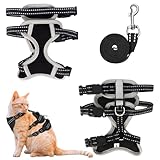 MOTIBACK Katzengeschirr mit Leine Ausbruchsicher, Metallring, Leichtes Weiches Reflektierendes Verstellbares Geschirr für Kleine Katzen zum Spazieren und Reisen. (S)