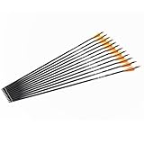 Pfeile 28 30 31 Zoll Carbonpfeile Bogenpfeile Jagdpfeile für Recurvebogen, Langbogen und traditionellen Bogen Zielübung Outdoor Jagd Schießen