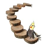 Sittichleiter – Hängebrückenspielzeug | Kauendes Kletterspielzeug für Vögel, Nymphensittiche, Finken | für Käfigdekoration, Unterhaltung, Bewegung, Linderung von Langeweile und
