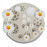 Formen 3D Silikon Kuchenform Mini Blumen Silikon Silikonform Blumen Fondant Candy Jelly Schokolade Kuchen Fondant Formen Silikonform Blatt Silikon Formen Rosen Gänseblümchen für Dekorieren Eine Kuchen