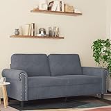 Mimdixy Kuschelsofa, 2-Sitzer-Sofa Dunkelgrau 140 cm Samt Bodencouch für Wohnzimmer Schlafzimmer Wohnung