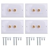 Rastapulz 4 Packungen Single Gang 1.0 Lautsprecher Kabel Wand Platte (Bananen Stecker Wand Platte) für 1 Lautsprecher,