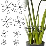 8 Stück Pflanzenstütze Staudenhalter, Pflanzenstielhalter Pflanzen Stütze, Pflanzstützgreifer Pflanzenklammern für Monstera Rankhilfe Und Alocasia, Tomaten Hortensien