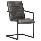 HETFTJN Esszimmer Sessel Armlehnstuhl Esszimmer Essstühle Gartenstuhl - Freischwinger 6 STK. Grau Echtleder für Büro Küche Esszimmer Speisesaal
