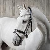 SUNRIDE schwedische Trense für Pferde (Aspen) - mit Zügeln - weiches Echtleder - extra Polsterung - anatomisch, verstellbar - Lack am Nasenriemen - handgefertigt - rostfrei - schwarz (Cob)