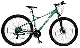 E-ROCK Mountainbike 29 Zoll, EX-10, Tourenrad, Fahrrad, MTB, Tourenfahrrad, Trekkingrad, Herren, Fitness Bike, Gabelfederung, Scheibenbremsen