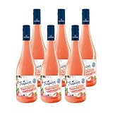 KATLENBURGER - Tropica White Peach Margarita | Trinkfertiger Erfrischer aus spritzigem Fruchtwein mit Pfirsich und Limette. Inhalt: 6x 0,75l mit 7% vol.