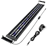 Honpal LED Aquarium Licht, Aquarium Beleuchtung für Fisch & Plant, 20W Weiße & Blaue für 90-120CM Aquarium, Aquarium Lampe Fischtank Licht mit Ausziehbaren Halterungen, Timer-Dimmen