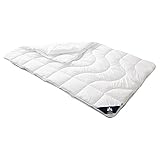 Irisette Micro Thermo 4-Jahreszeitendecke, Steppbett mit Bezug aus softer Microfaser für alle Jahreszeiten, 135 x 200 cm, Öko Tex zertifiziert, produziert nach deutschem Qualitätsstandard