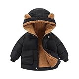 PINTUTU Baby Jacke Jungen Mädchen Winter Mantel Niedlich Plüsch Bärenohren Winterjacke Steppjacke Reißverschluss Kapuzenjacke mit Taschen 1-5 Jahre Fashion