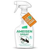 Silberkraft Ameisenspray 500 ml, zuverlässig Ameisen bekämpfen, Anti- Ameisenmittel, Sofort- und Langzeitwirkung, wirksame Alternative zu Ameisengift & Ameisenköder