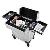 Professioneller Schminkkoffer Multifunktionaler Kosmetikkoffer Trolley großer Trolley-Aufbewahrungskoffer für Nägel (Silber)