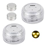 Ideen mit Herz | Power-LED-Leuchten XL | wasserfest | klar | LED-Leuchtmittel | Unterwasserbeleuchtung | 2 Stück | mit Timer | inklusive Batterien (Warmweiß)