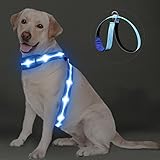 PZRLit LED Hundegeschirr Leuchtend für Hunde, Leuchtgeschirr Hundeweste Wiederaufladbar, Weich Gepolstert, Verstellbar und Reflektierend, Beleuchtetes Hundegeschirr (Blau, Groß)