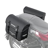 WILD HEART Motorradsatteltaschen wasserdichte Tasche Retro Tail Bag 20L(10L*2) für Sportster Softtail Dyna Road King kein Regenschutz notwendig