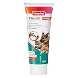 BEAPHAR - Flexifit Paste Für Hunde Und Katzen - Unterstützt Die Gelenkbeweglichkeit Und Vitalität - Mit Vitamin C, Glucosamin, Omega 3 Und Vitamin E - 250 g