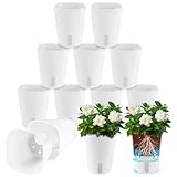 AKOLAFE 12 Stück Selbstbewässerungstopf mit Wasserstandsanzeiger 9,5CM Self Watering Pot Kräutertopf mit Bewässerungssystem Küche Blumentopf Selbstbewässernd Selbstwässernder Blumentopf für InnenAußen