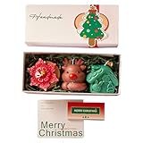 Christmas Duftkerzen,Dekorative Weihnachts Aromatherapie Kerzen | Natürliche Duftkerze - Für Weihnachtsfeier Familienabend Entspannung Winterabend Wohnzimmer Schlafzimmer