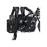 Motorradjeans for Damen/Herren Resistent (2 X Knie + 2 X Hüfte) Ganzjährig, Wasserdicht, Abriebfest(Black,Large)