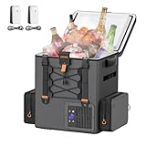 Litheli FrozenPack Akku Kühlbox Auto Elektrische Gefrierbox 20L, 12V/240V Rucksack-Kühlschrank für Camping, Reisen, Wohnmobil, 15 Minuten Schnellkühlung, Grau-SE Mit 2 x 4.0Ah Akkus