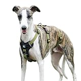 Paworld Sicherheitsgeschirr Hund, Anti Zug Hundegeschirr, Panikgeschirr für Hunde, Ausbruchsicheres Geschirr Hund, Verstellbare, Atmungsaktiv Weste für kleine, mittelgroße und große Hunde (Grün,M)