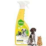 Dermazoo Katzenabwehrspray & Hundeschreck 750ml, Anti-Urin-Spray für Hunde & Katze, Katzenabwehr für Garten und Wohnung, Anti Kratz Spray Katzen, Fernhaltespray Möbel & Outdoor Katzenschreck