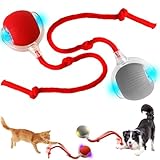 Chewie Rolling Ball, 2pcs Interactive Cat Toys Rolling Ball, Interaktives Katzenspielzeug Katzenball, Smart Automatisch Rollender Ball, Katzenspielzeug Elektrisch mit USB Aufladbar für Katzen Hunde