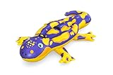 Bestway Schwimmtier Splashing Salamander 191 x 119 cm, bunt