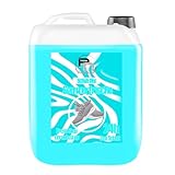 5 L Schuh Deo Geruchsstopp Geruchsentferner Schuhspray Schuhe Schweiß Sommerfische