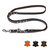 FREUDENTIER Hundeleine Leder 2m - Lederleine verstellbar - Führleine aus zertifiziertem Fettleder für kleine, mittelgroße & große Hunde - Alsterufer Kollektion (Chocolate, 20mm breit)