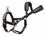 Start Kappzaum – Verstellbares Longierhalfter mit PVC-Verstärkung & Abnehmbaren Beschlägen – Trainingshalfter für Pferde (Schwarz, Warmblut)