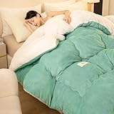 MTHGH Steppdecke Ohne Bezug Bettdecke Warm Winterbettdecke Federbettdecke Baumwolldecke Warm Doppelseitiges Daunenbettdecke Bequem Und Weich Schlafdecke(#1,200x230cm/5kg)