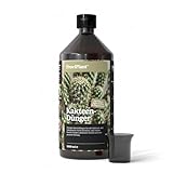 ProviPlant Kakteen Flüssigdünger – Für Kakteen, Sukkulenten & Trockenpflanzen – 1 Liter Konzentrat für bis zu 200 Liter Gießwasser – Indoor & Outdoor geeignet – Made in Germany