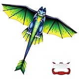 Flintronic Drachen, Drachen für Kinder und Erwachsene, Fliegender Drache Flugdrachen für Kinder, Kite mit 100m Drachenschnur, für Spiele und Aktivitäten im Freien