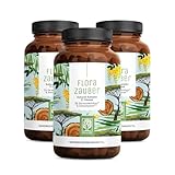 NATURTREU® Florazauber Kulturen Komplex - Vorteilsbundle 3er Paket - magensaftresistent & vegan - 23 Bakterienstämme ohne Inulin - Komplex u.a. mit Lactobacillus & Bifidobakterien, 60 Kapseln
