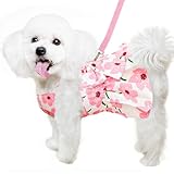Hundekleid für weibliche Kleine Hunde,Hund Kleider Geschirr und Leine,Dog Kleid für kleine Hunde,Sommerkleid für small Haustiere,Mädchen-Hundekleid für Kleine,Mittelgroße Haustiere (M)