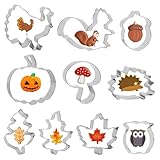 10 Stück Ausstechformen Herbst Set, Erntedankfest Keksausstecher Ausstecher Kürbis Herbst DIY Plätzchenausstecher, Edelstahl Ausstecher für Ahornblatt Eichhörnchen Keks Backen