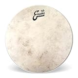 Evans Calftone 14', TT14C7 Tom Batter/Snare Batter