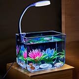 Niwugady Aquarium-Tank mit Klemmlicht, Mini Aquarium Starter Set für Wohnzimmer & Büro, Quadratisch, 7.5x10.5x12.5cm