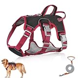 Mehrzweck-Hundegeschirr mit Leine Set, Ausbruchsicheres Anti Zug Hundegeschirr, Anti Zug Geschirr Hund Sicherheitsgeschirr, Hundegeschirre Kleine Hunde für Kleine Mittelgroße Hunde(Schwarz, S)