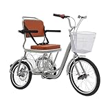 20 Zoll Dreiräder für Erwachsene mit Rückenlehne,Dreiräder für Ältere,Fahrradkörper mit niedriger Spannweite,Kann die meisten Aufzüge betreten (Silbrig)