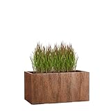 Pflanzwerk Pflanzkübel TUB in Rost 30x60x30 cm – Blumentopf groß für außen mit 49 Liter, Pflanzentopf für Terrasse, Balkon & Garten