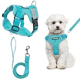 GOTDYBST Hundegeschirr, Leinenset: Netzgewebe, atmungsaktiv, bequem, kein Ziehen, verstellbares Welpengeschirr mit reflektierenden Streifen, Rüschengeschirr für kleine und mittelgroße Haustiere, Größe