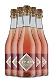 Dr. Höhls POMP Bio-Aperitif 0,0, alkoholfrei, alkoholfreier Sektmoment & Botanical Filler, ohne Sulfite