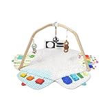 Lovevery Play Gym - Baby Spieldecke mit Spielbogen - Entwicklungsfördernder und nachhaltiger Spielbogen - Interaktiver Erlebnisdecke, entworfen von Experten für die Entwicklung des kindlichen Gehirns