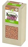 FLORTUS BIO Keimsprossen Radies | Gesunde & leckere Keimsprossen | Sprossensaat | Keimsprossen | Keimsaaten