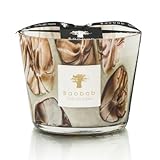 Baobab Collection Duftkerze Oceania Anangu, Woods - Muskatnuss, Zimtholz, Galbanum, handgefertigt in der EU (MAX10)