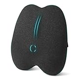 Havnxor Lendenwirbelkissen, Ergonomisches Lordosenstütze Auto, Lendenkissen Auto aus Memory Foam, Orthopädisches Rückenkissen fur Auto, Bürostuhl, Schwarz