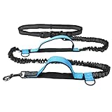 Verstellbare Führleine Hände frei, elastische Hundeleine für Laufen, Gehen, Joggen Hundeleine(Blue)