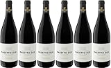 Endrizzi Masetto Due Vigneti delle Dolomiti IGP 2023 Trocken (6 x 0.75 l)
